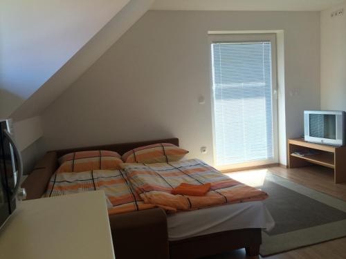 Resnik帕克尼克游客农场旅馆的一间卧室设有一张床、一台电视和一个窗口。