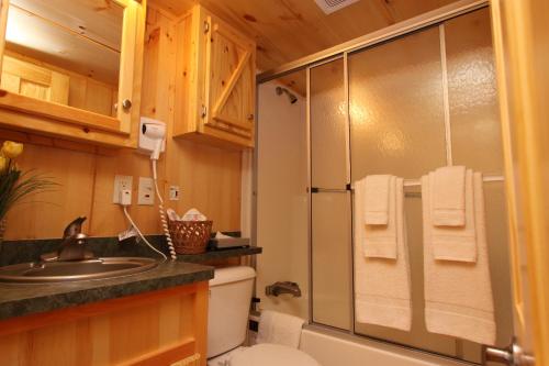 EdgertonLakeland RV Campground Deluxe Loft Cabin 11的带淋浴、卫生间和盥洗盆的浴室