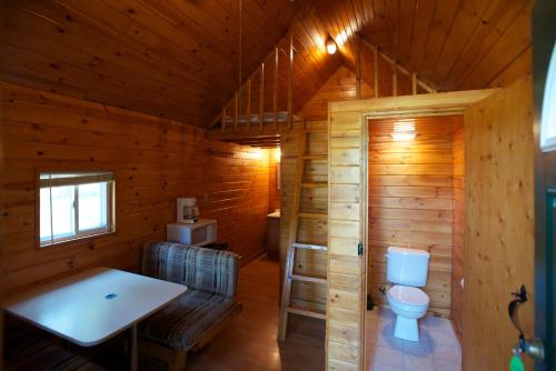 Douglas CenterArrowhead Camping Resort Loft Cabin 22的小木屋内带卫生间的浴室