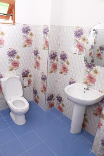 米瑞莎Dilara Resort Mirissa的一间带卫生间和水槽的浴室