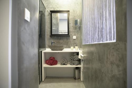 布鲁塞尔游走布鲁塞尔住宿加早餐旅馆的一间带水槽和镜子的浴室