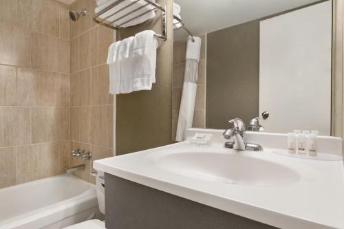 瀑布景观戴斯酒店的一间浴室