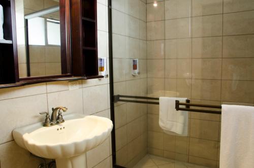 圣何塞圣约瑟雷亚尔广场套房公寓酒店的一间带水槽和淋浴的浴室