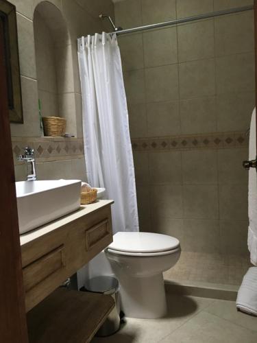 迪坡斯特兰Hotel Casa del Angel的浴室配有卫生间、盥洗盆和淋浴。