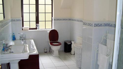 莫希尔Lough Rynn Self Catering的一间带卫生间和水槽的浴室
