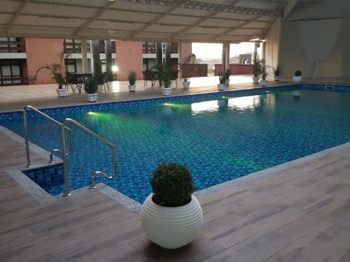 托莱多伊万托斯奥林达酒店的一座大型游泳池,旁边是花瓶里种植植物