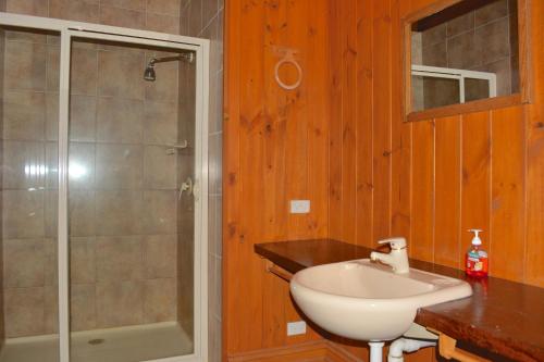 丁诺高原雪花飘落木屋的浴室配有白色水槽和淋浴。