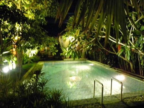 日惹Villa Rosseno - Evelyn Private pool and Garden的花园的游泳池