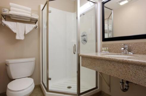 里弗赛德Raincross Hotel Riverside的带淋浴、卫生间和盥洗盆的浴室