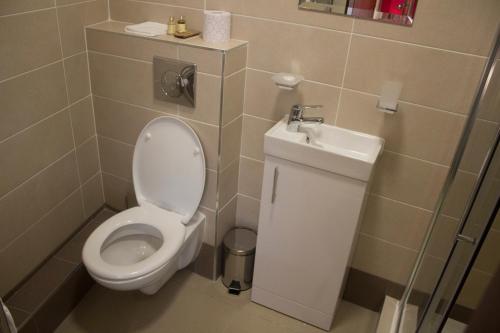 Beaumont博蒙特之家旅馆的一间带卫生间和水槽的浴室
