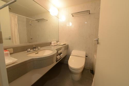 谏早市Hotel Flags Isahaya Nagasaki的一间带卫生间、水槽和镜子的浴室