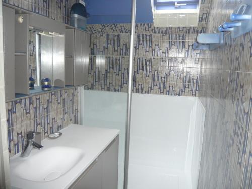 Étrembières萨波蒂内酒店的带淋浴和盥洗盆的浴室