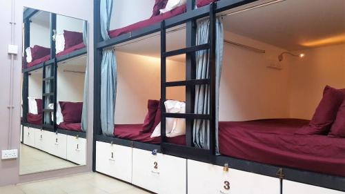 新加坡梅多斯胶囊旅馆的一张带镜子的双层床