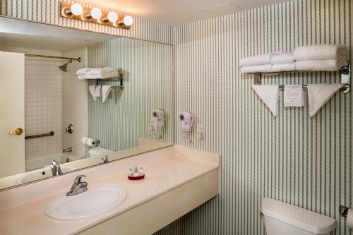 威廉斯堡Williamsburg Woodlands Hotel & Suites, an official Colonial Williamsburg Hotel的一间带水槽、镜子和卫生间的浴室