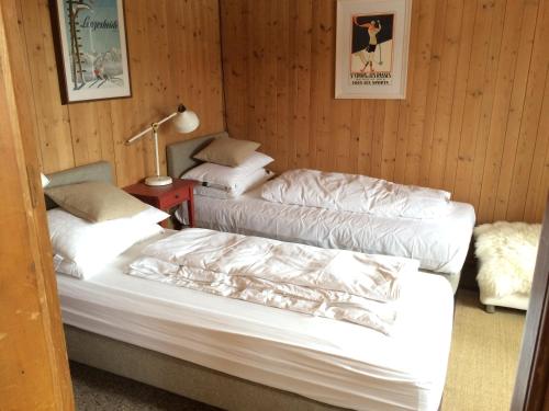 WergensteinChalet Nidus Montis的一间卧室设有两张床和一张桌子上的台灯。