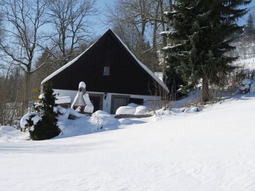 黑林山区圣格奥尔根Holiday home with terrace in the Black Forest的前面的雪覆盖的房子