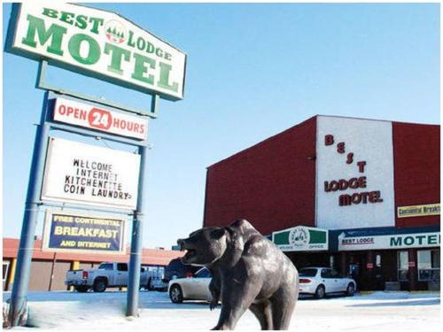 劳埃德明斯特Best Lodge Motel的一只狗站在汽车旅馆前的雕像