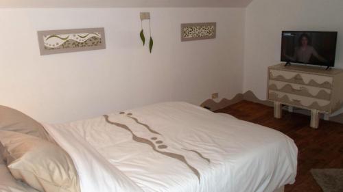 特镇艺术住宿加早餐旅馆的卧室配有白色的床和电视。
