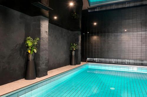 欧里亚克德斯卡默斯酒店的一个室内种植了两株盆栽植物的游泳池