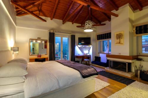 蒂米萨那恩娜斯特瑞旅馆的一间卧室设有一张大床和一个壁炉