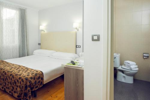 毕尔巴鄂古里亚休闲旅馆的酒店客房设有一张床和一个卫生间。