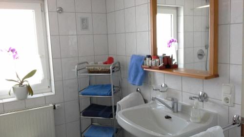 Haus Alpenhof的一间浴室