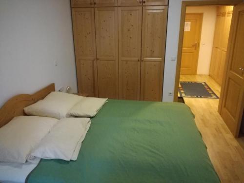 霍茨科波霍尔耶Holiday Apartment Bolfenk的一间卧室配有一张带绿毯的床
