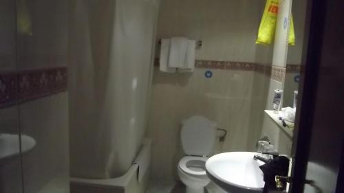 马德里里维埃拉-阿托查旅馆的浴室配有白色卫生间和盥洗盆。