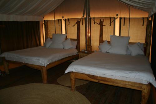Roika Tarangire Tented Lodge客房内的一张或多张床位