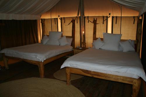 Kwa KuchiniaRoika Tarangire Tented Lodge的相册照片