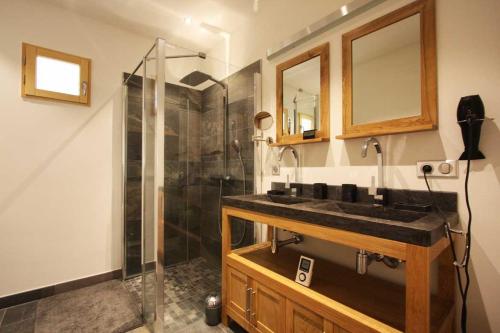 夏蒙尼-勃朗峰Chalet Couttet - Chamonix All Year的一间带水槽和淋浴的浴室