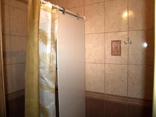 利沃夫Apartament Sanitarna 17的浴室内配有淋浴帘。
