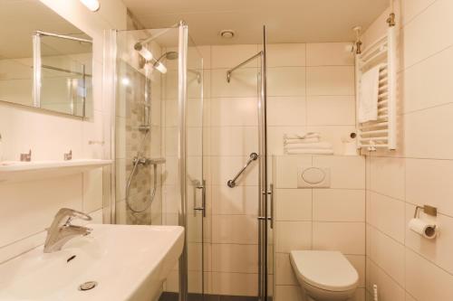 泽丹劳姆则赫特餐厅酒店的带淋浴、卫生间和盥洗盆的浴室