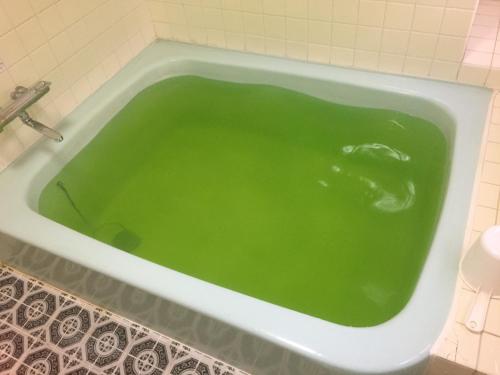 新居滨市新居滨山丘王子酒店的浴室设有装满绿水的浴缸