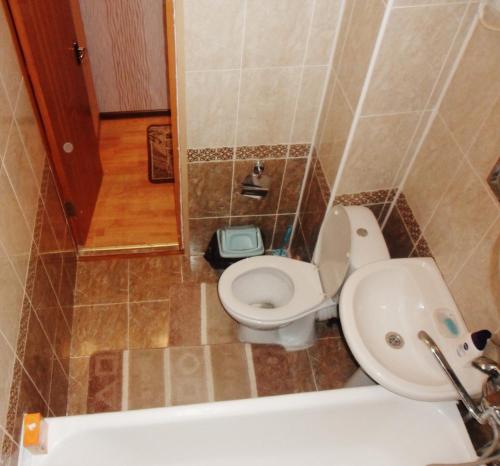 Krasnoye PoleАхметова 10的一间带卫生间和水槽的浴室