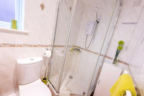 Eccleshall库尔摩尔住宿加早餐旅馆的带淋浴和卫生间的浴室