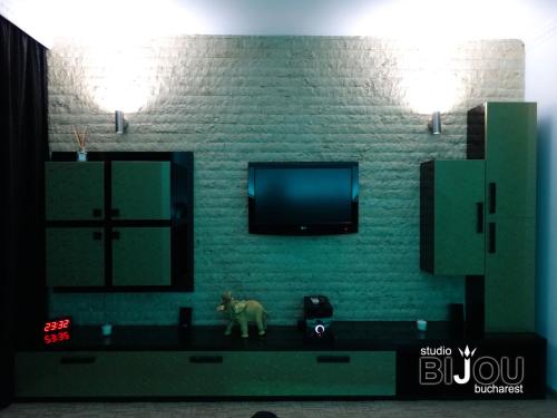 布加勒斯特Studio Bijou Bucharest的一间配有电视的房间,柜台上有一只狗