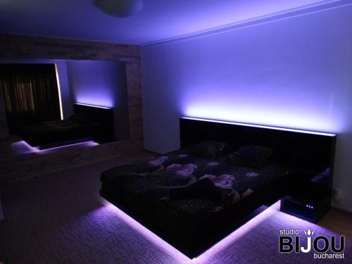 布加勒斯特Studio Bijou Bucharest的一间暗室,配有一张紫色灯床