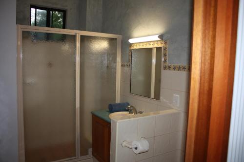布鲁姆蓝海度假酒店的带淋浴、盥洗盆和镜子的浴室