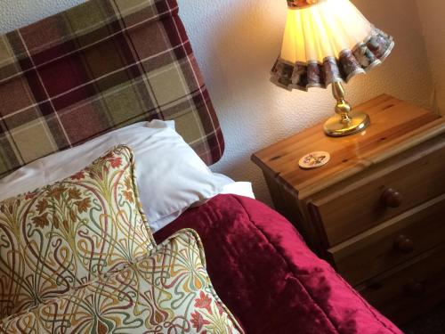 巴拉The Bryntirion Inn的床上配有枕头,床头柜上配有灯