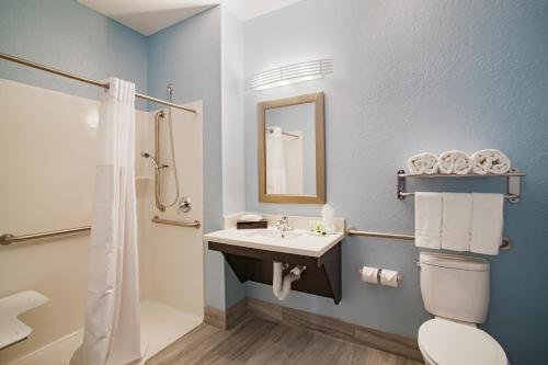 萨凡纳鸢尾花园酒店的一间带水槽、卫生间和淋浴的浴室