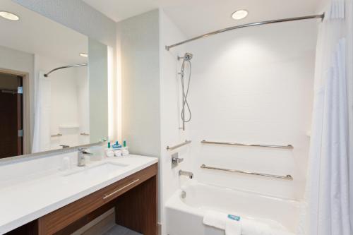 休斯顿Holiday Inn Express & Suites Houston S - Medical Ctr Area, an IHG Hotel的一间带水槽和淋浴的浴室