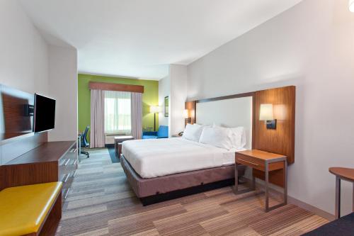 休斯顿Holiday Inn Express & Suites Houston S - Medical Ctr Area, an IHG Hotel的配有一张床和一台平面电视的酒店客房
