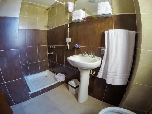 萨尔塔Apart Hotel Lo de Carilo的浴室配有盥洗盆、卫生间和浴缸。