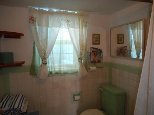 汉密尔顿Blue Horizons Guest House的一间带绿色卫生间的浴室和窗户。