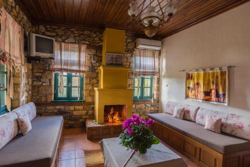 Agios Ioannis ProdromosPlatanorema的带沙发和壁炉的客厅