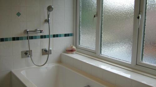 弗吉尼亚沃特萨凡纳住宿加早餐旅馆的带浴缸的浴室和窗户。