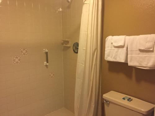 夏洛特港Charlotte Bay Resort的带淋浴和卫生间的浴室