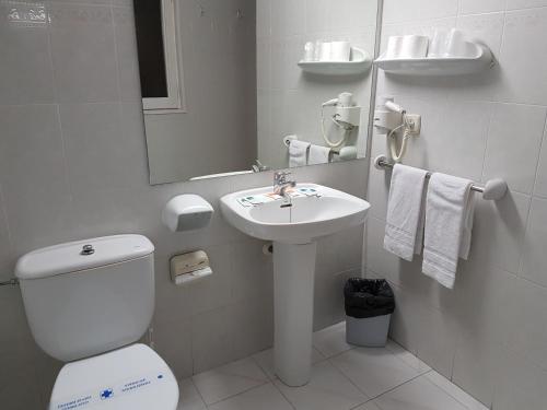 阿林萨尔阿林萨尔酒店的白色的浴室设有卫生间和水槽。