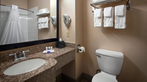 卡拉马祖卡拉马祖贝斯特韦斯特套房酒店的一间带水槽、卫生间和镜子的浴室